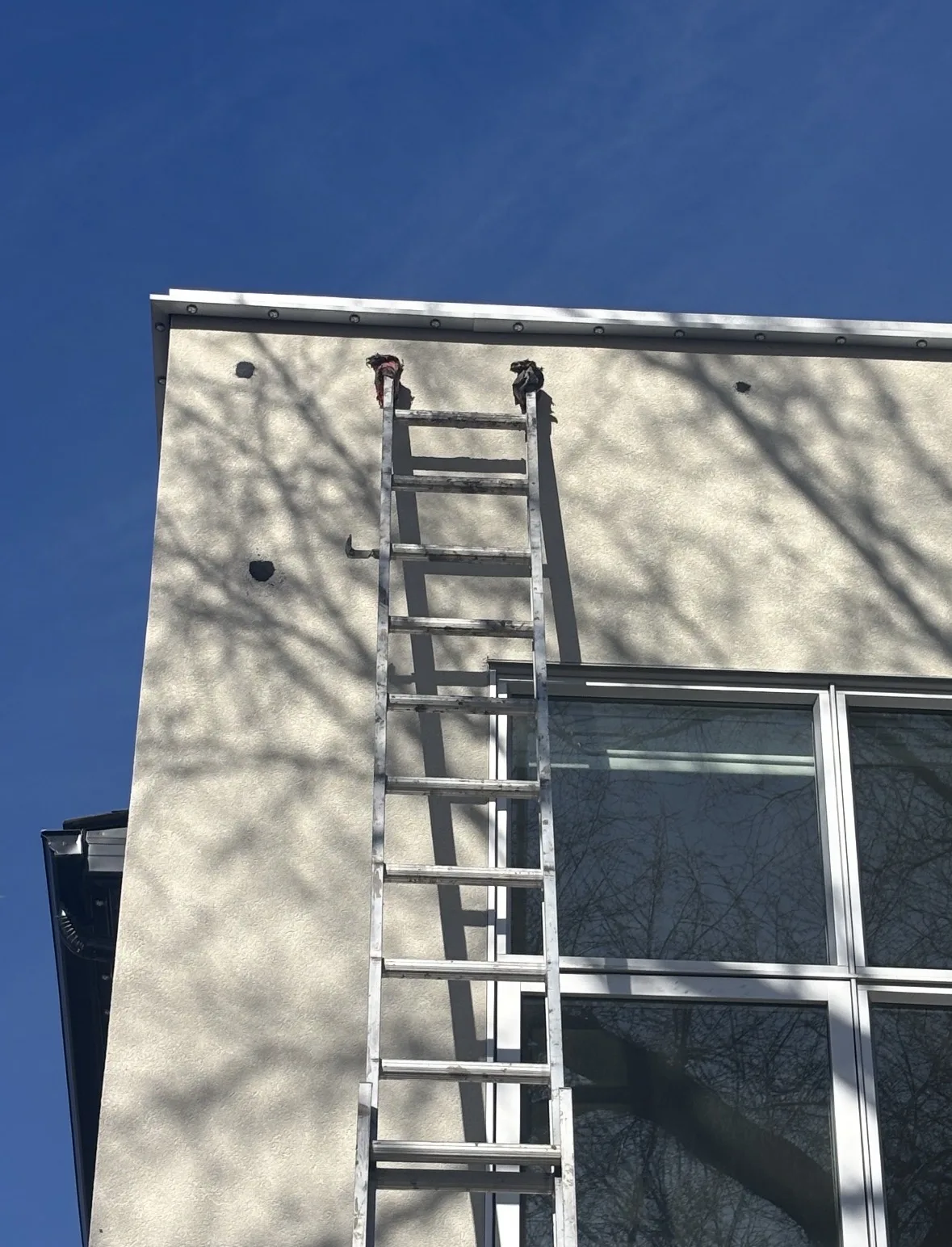 Calgary EIFS woodpecker damage before repair — multiple holes drilled through acrylic finish into foam insulation